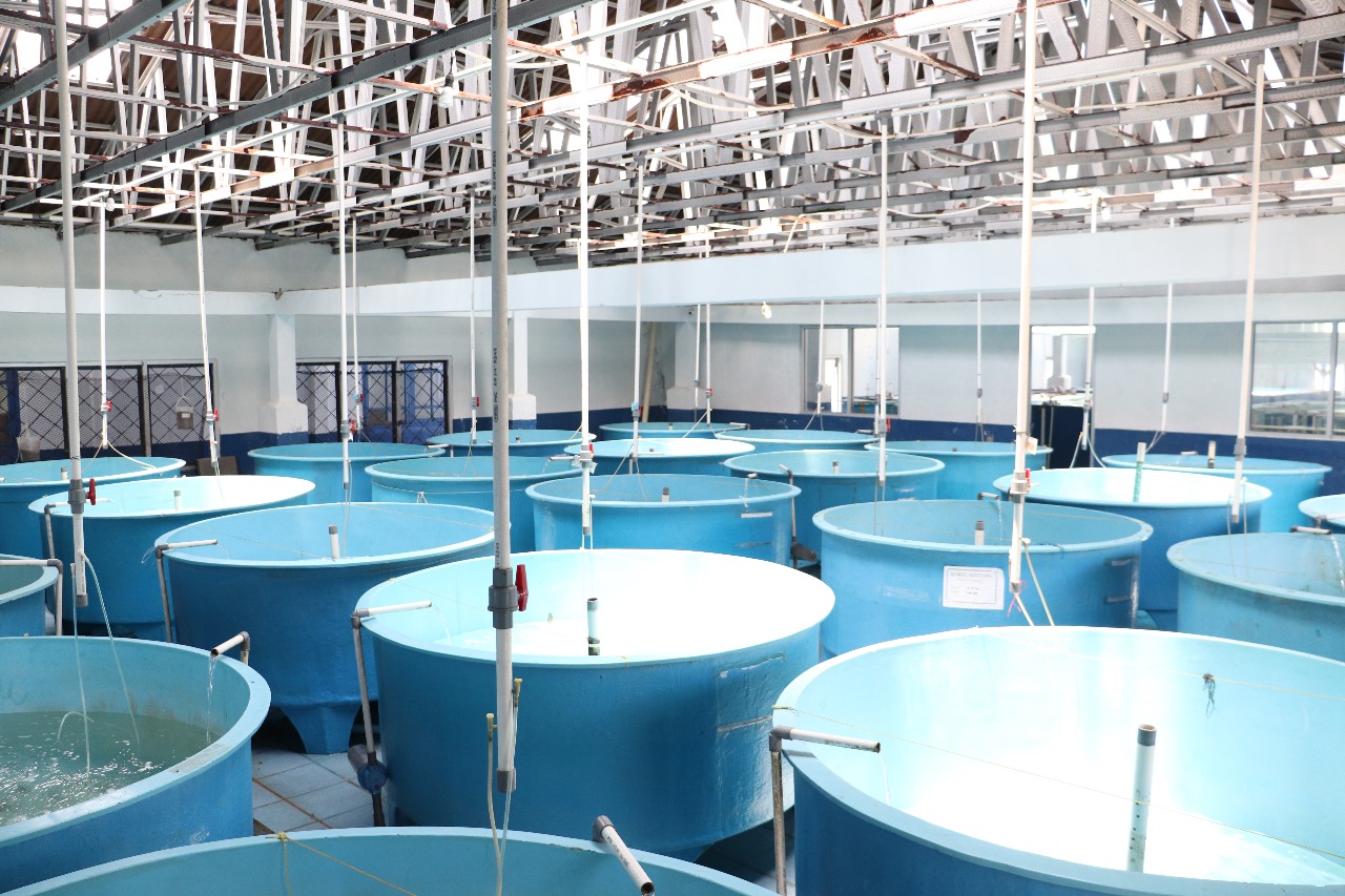 Fasilitas BBPBL Lampung