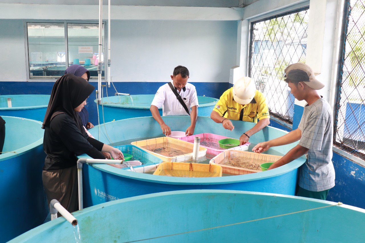 Produksi BBPBL Lampung